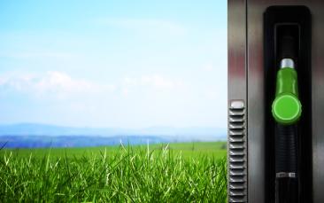 Cover image of Hybrid photoelectrodes advance solar fuel generation
