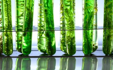 Cover image of Clean hydrogen production with bio-inspired catalysts