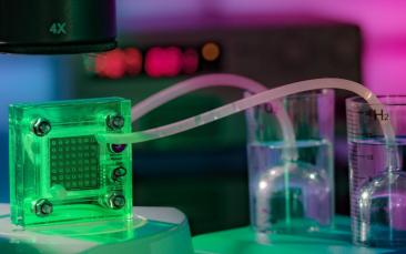 Cover image of Using intrinsically fragile catalysts to generate and use chemical fuels