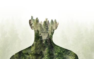 Cover image of Accelerated rates of change in Earth’s vegetation go back thousands of years