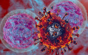 Cover image of Unravelling the mysteries of COVID-19 and its effect on the immune system