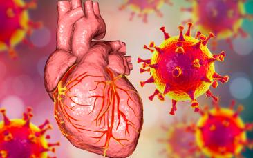 Cover image of These are the proteins causing strokes and heart attacks in COVID-19 patients