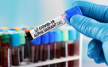 Cover image of Searching for the culprit of higher COVID-19 mortality