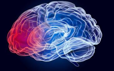 Cover image of Improving the control of patient symptoms in Parkinson’s disease
