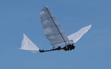 Cover image of Bird-like robots could assist in medical emergencies and hunt down drones