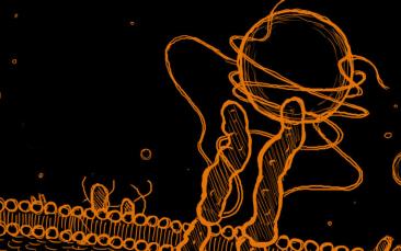 Cover image of Cell ‘hands’ to unlock doors in health research, drug design, and bioengineering