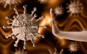 Cover image of Frontier research at the service of the coronavirus epidemic response