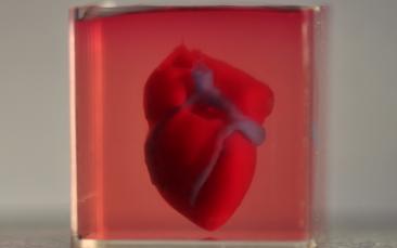 Cover image of Will 3D printed hearts solve organ donors shortage?