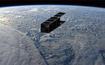 Cover image of Tiny, but not afraid of the big 