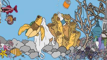 Cover image of Busting the myths about ocean plastic