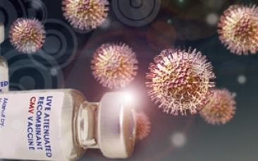 Cover image of Boosting immunity and vaccine research