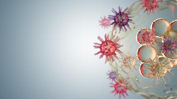 Cover image of Viruses: know your enemy to defeat it