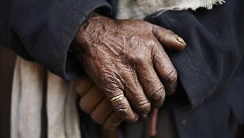 Cover image of What makes our hands unique?