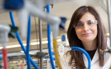 Cover image of EU grants: paving the way for young researchers 