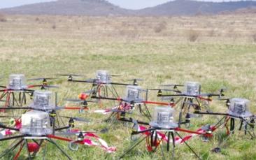 Cover image of Flocking drones, swarming pigeons