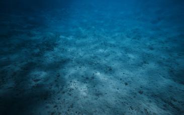 Cover image of Life in the deep – microbes of the abyss