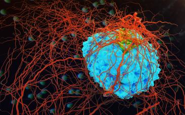 Cover image of Spotting the killjoy cell
