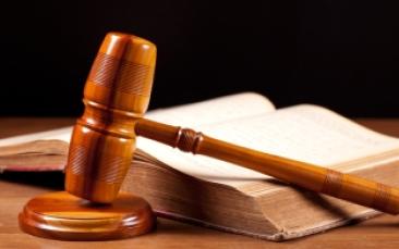 Cover image of Testimony on Human Rights Law