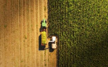 Cover image of New app tells farmers how much fertiliser their crops need