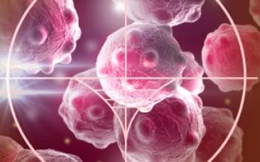 Cover image of Studied malaria, found cancer treatment