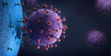 How viruses invade cells