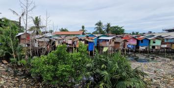 Climate action in fast-growing cities