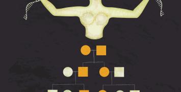 Connectivity in the ancient world