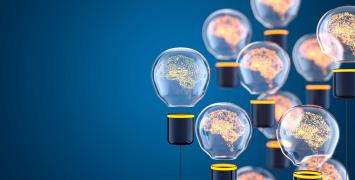 240 researchers supported to turn their science into practice 