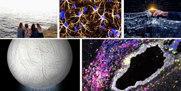 Advanced Grants 2024: Examples of projects 