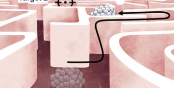  A microrobot reaches its first target and continues toward a second one by following a newly imagined path.