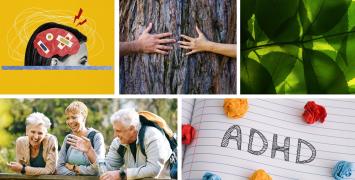 Starting Grants 2025 examples