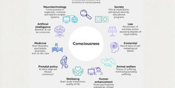 2025 Cleeremans, Mudrik and Seth  2025 Cleeremans, Mudrik and Seth