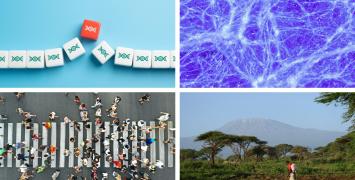 Synergy Grants 2025 Examples of projects