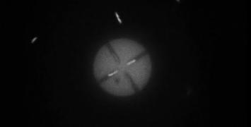 E. coli in confined spaces power symmetric discs