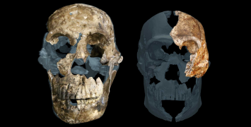 frontal-comparison-photo-ghost