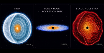 Stars - Black Holes - Black Hole Stars 