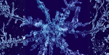 Europe’s biotech frontier: New ERC report charts breakthrough potential and barriers