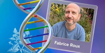 Fabrice Roux