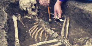 Cover image of Biting into ancient DNA