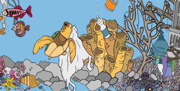 Cover image of Busting the myths about ocean plastic