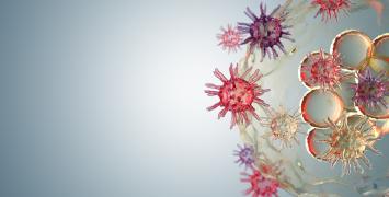 Cover image of Viruses: know your enemy to defeat it