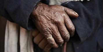 Cover image of What makes our hands unique?