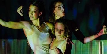 Cover image of The dancing particles