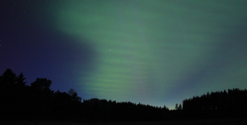 Cover image of The night sky from your window