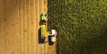 Cover image of New app tells farmers how much fertiliser their crops need