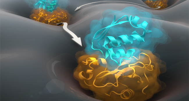 Cover image of Secrets of protein interactions unveiled