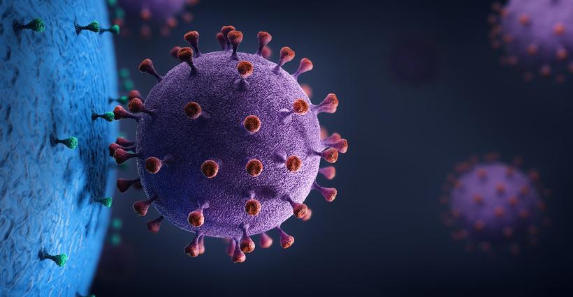How viruses invade cells
