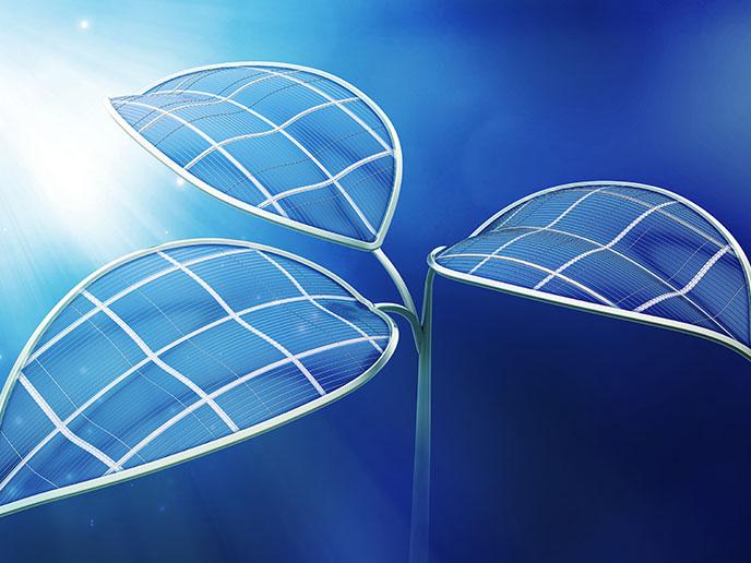 Harnessing semi-artificial photosynthesis to create sustainable chemicals and fuels