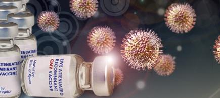 Cover image of Boosting immunity and vaccine research